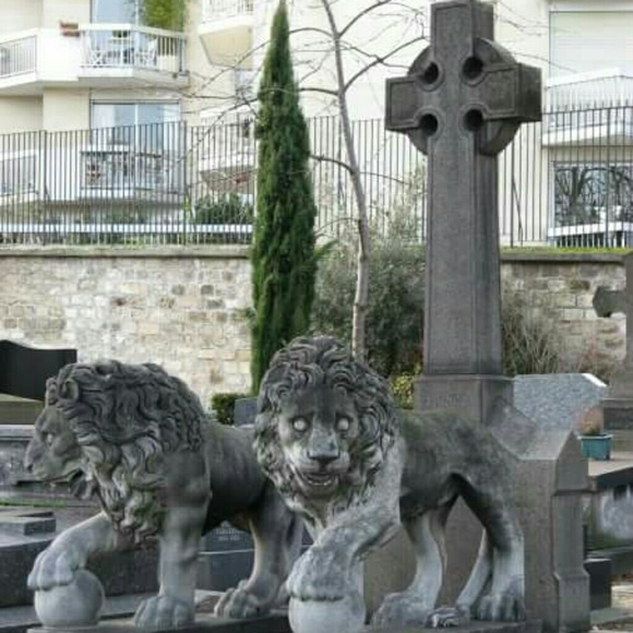 Meet your Seller/Buyer, Robyn - Picture 7 of 8